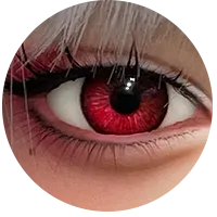 14.webp